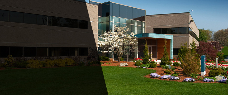 Woodland Hills Landscapers