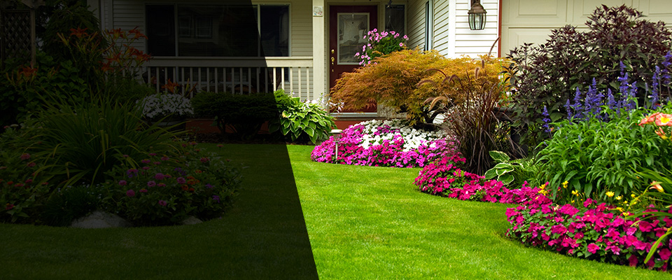 Woodland Hills Landscapers
