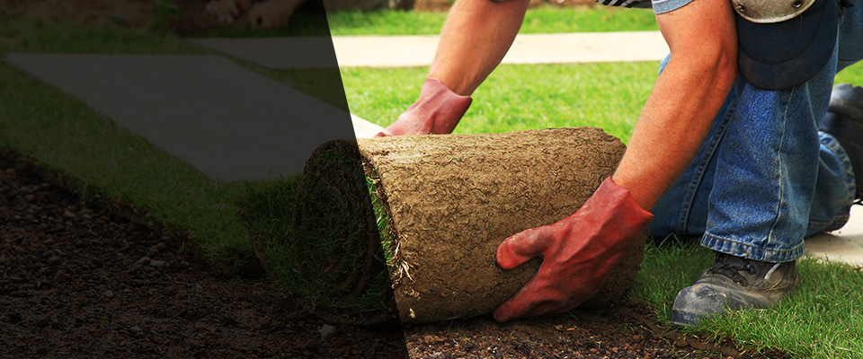 Woodland Hills Landscapers